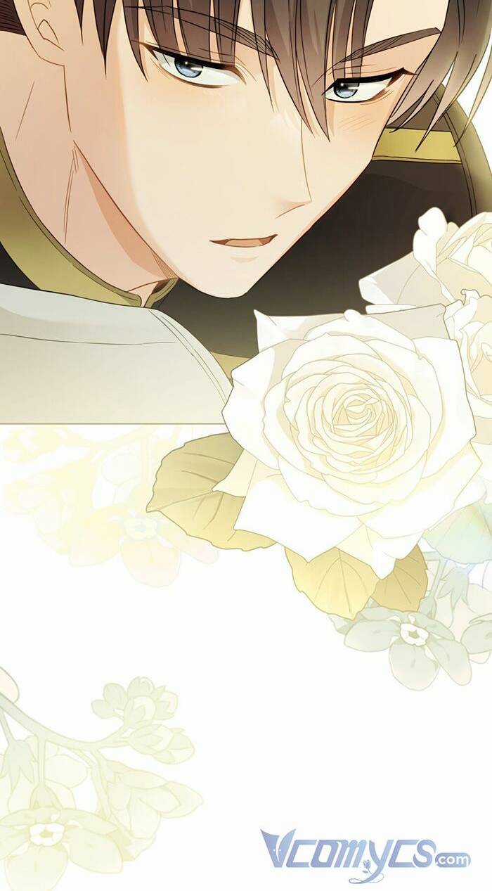 Tìm Lại Camellia Chapter 71 trang 2