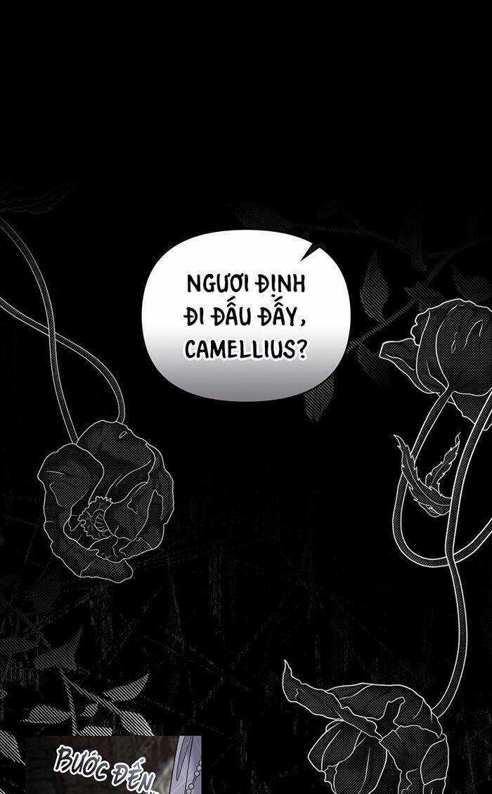 Tìm Lại Camellia Chapter 74 trang 1