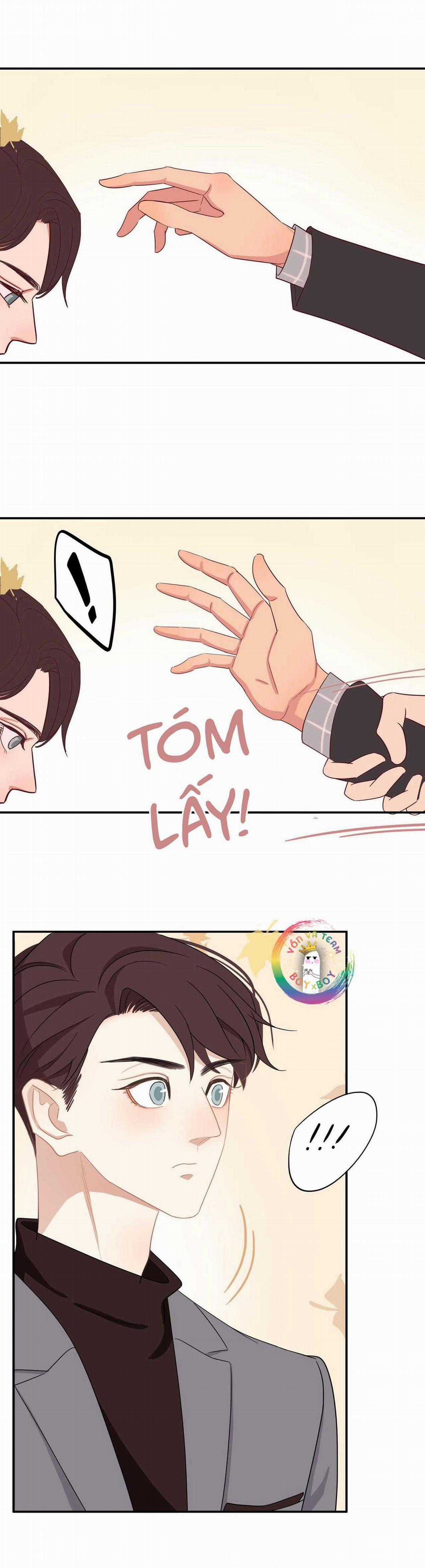 Tình Chàng 30 Chapter 37 trang 11