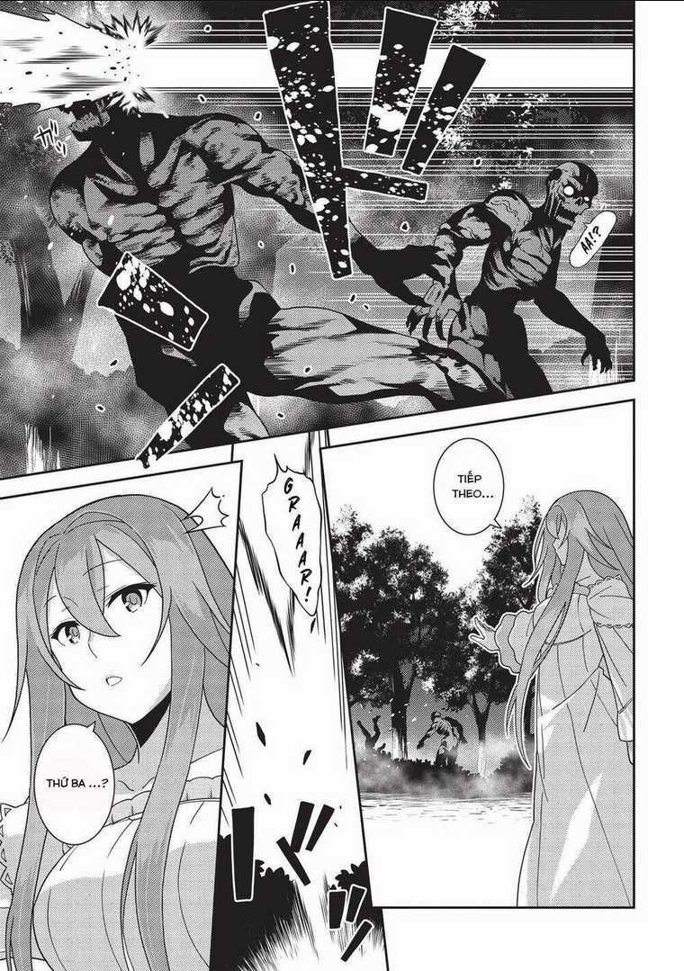 Tinh Linh Huyễn Tưởng Ký Tại Dị Giới Chapter 40 trang 23