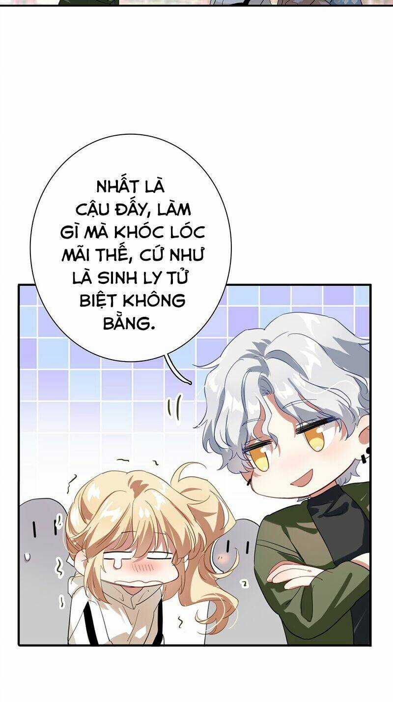 Tinh Mộng Thần Tượng Chapter 304 trang 4