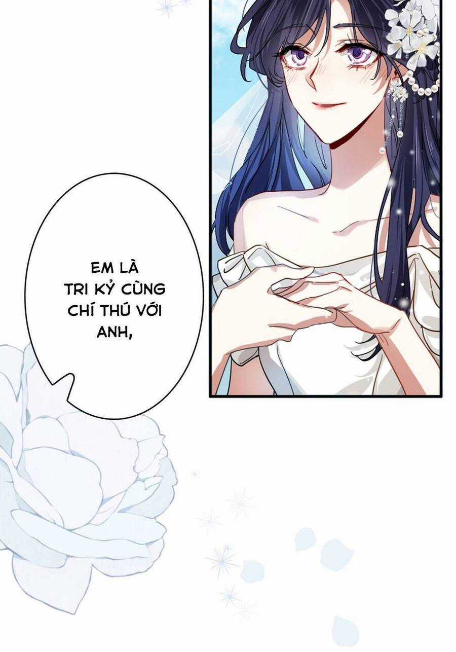 Tinh Mộng Thần Tượng Chapter 351.5 trang 22