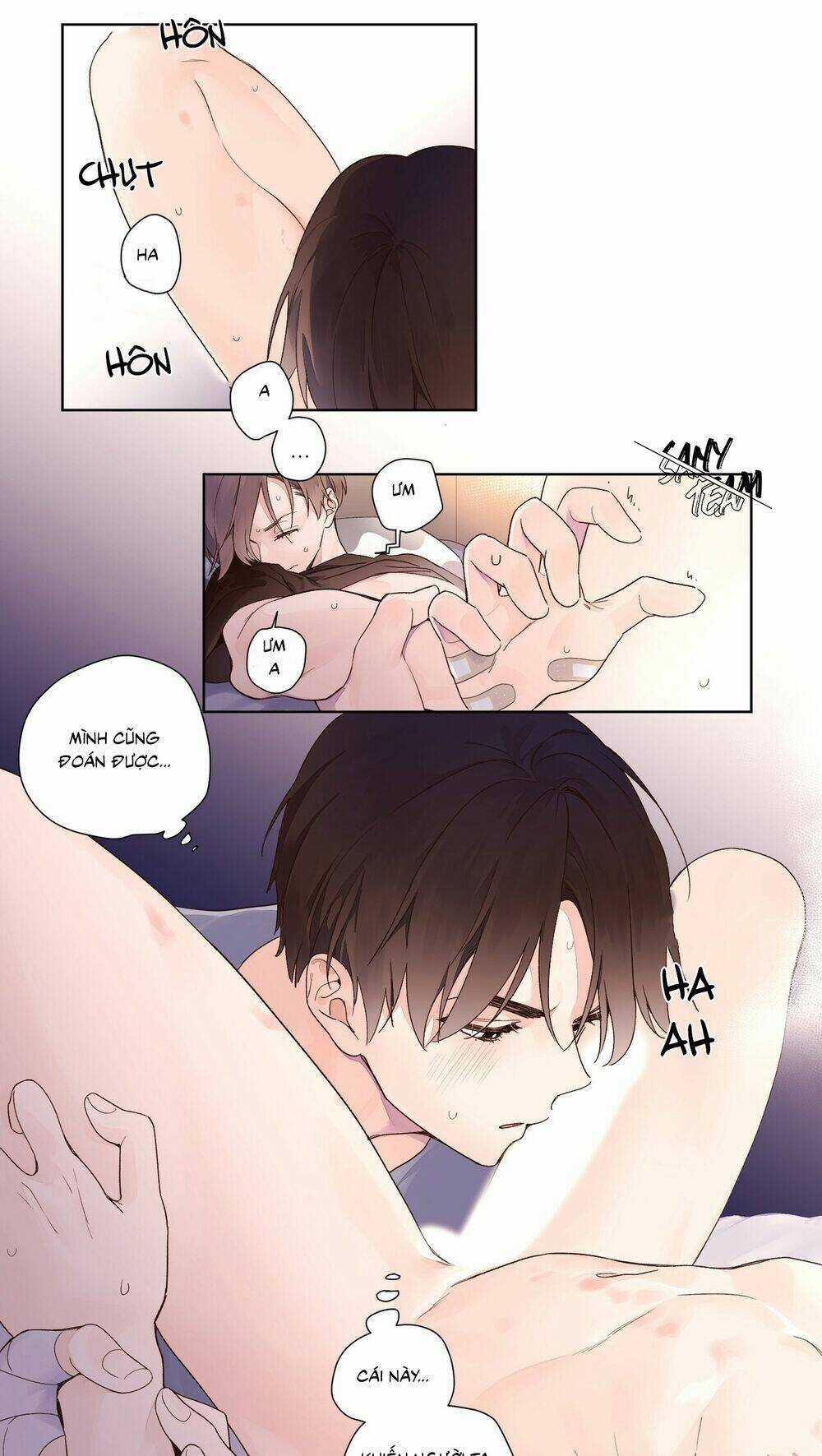 Tình Nhân 4 Tuần Chapter 13 trang 18