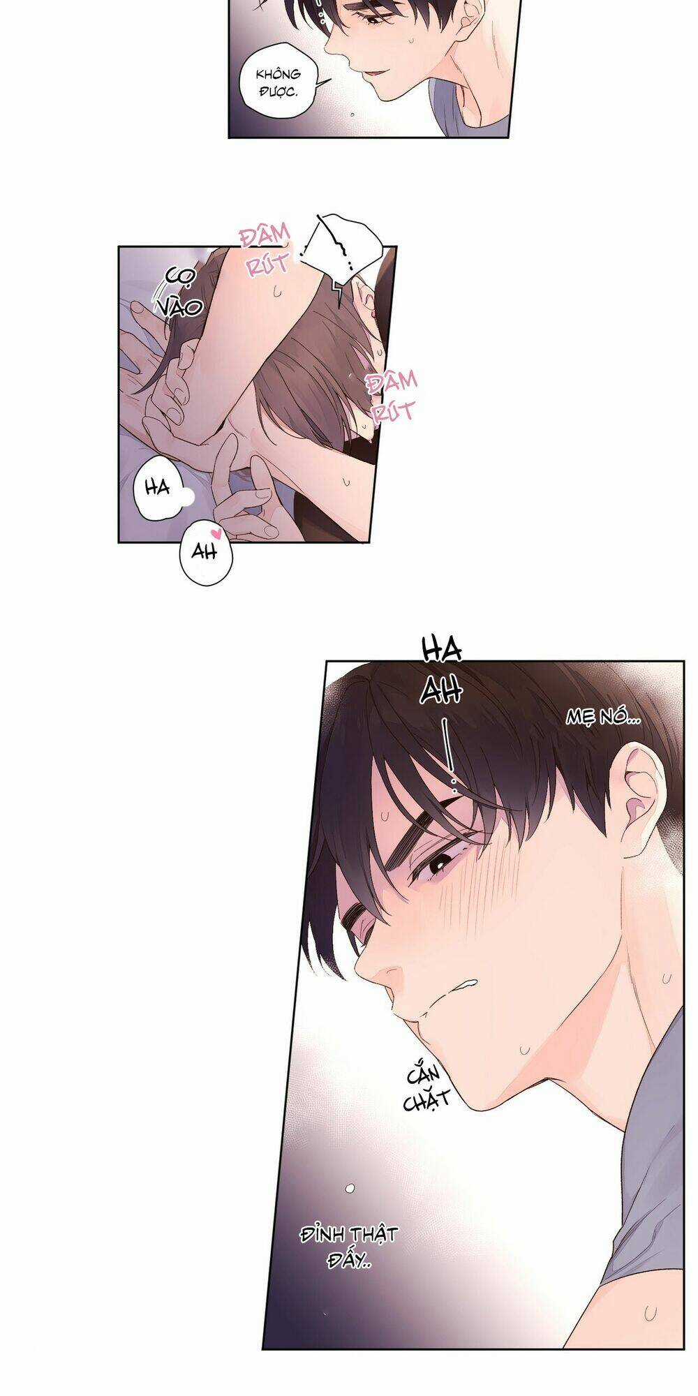 Tình Nhân 4 Tuần Chapter 17 trang 19