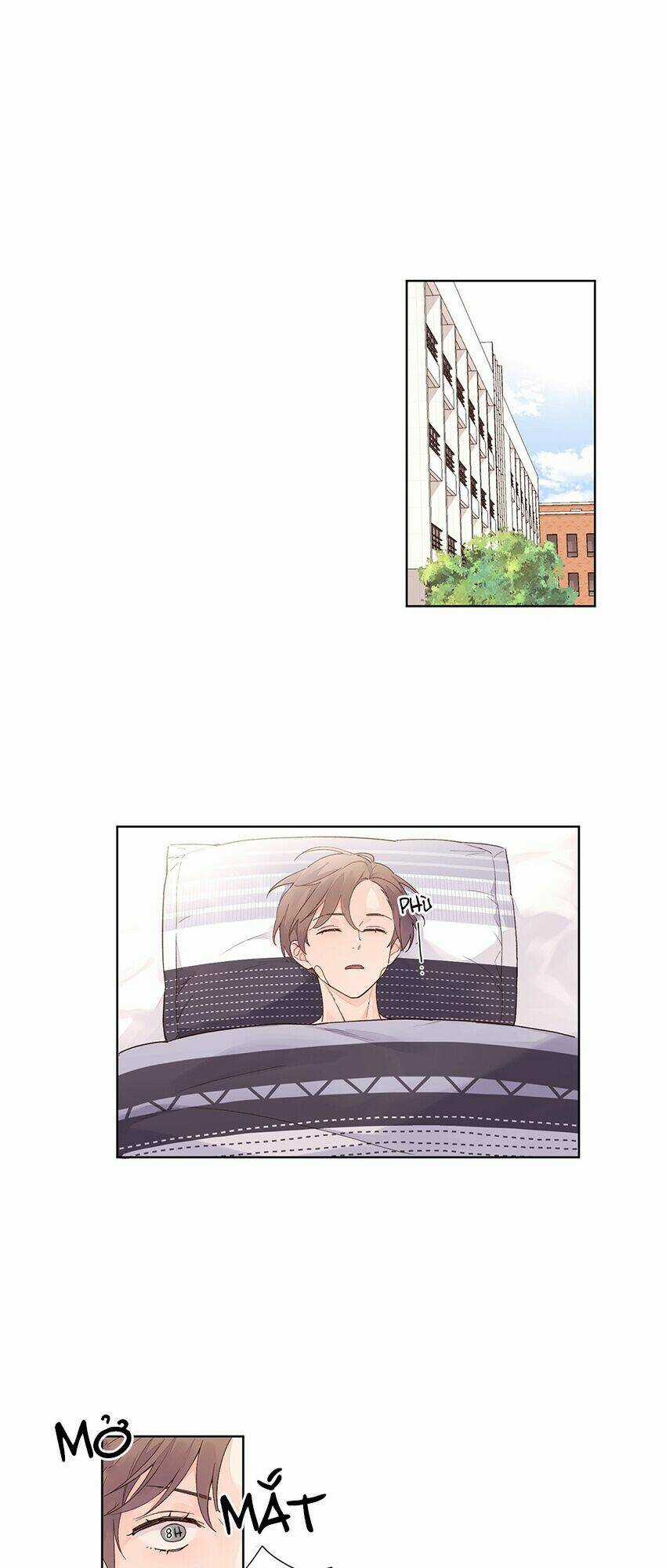 Tình Nhân 4 Tuần Chapter 19 trang 2