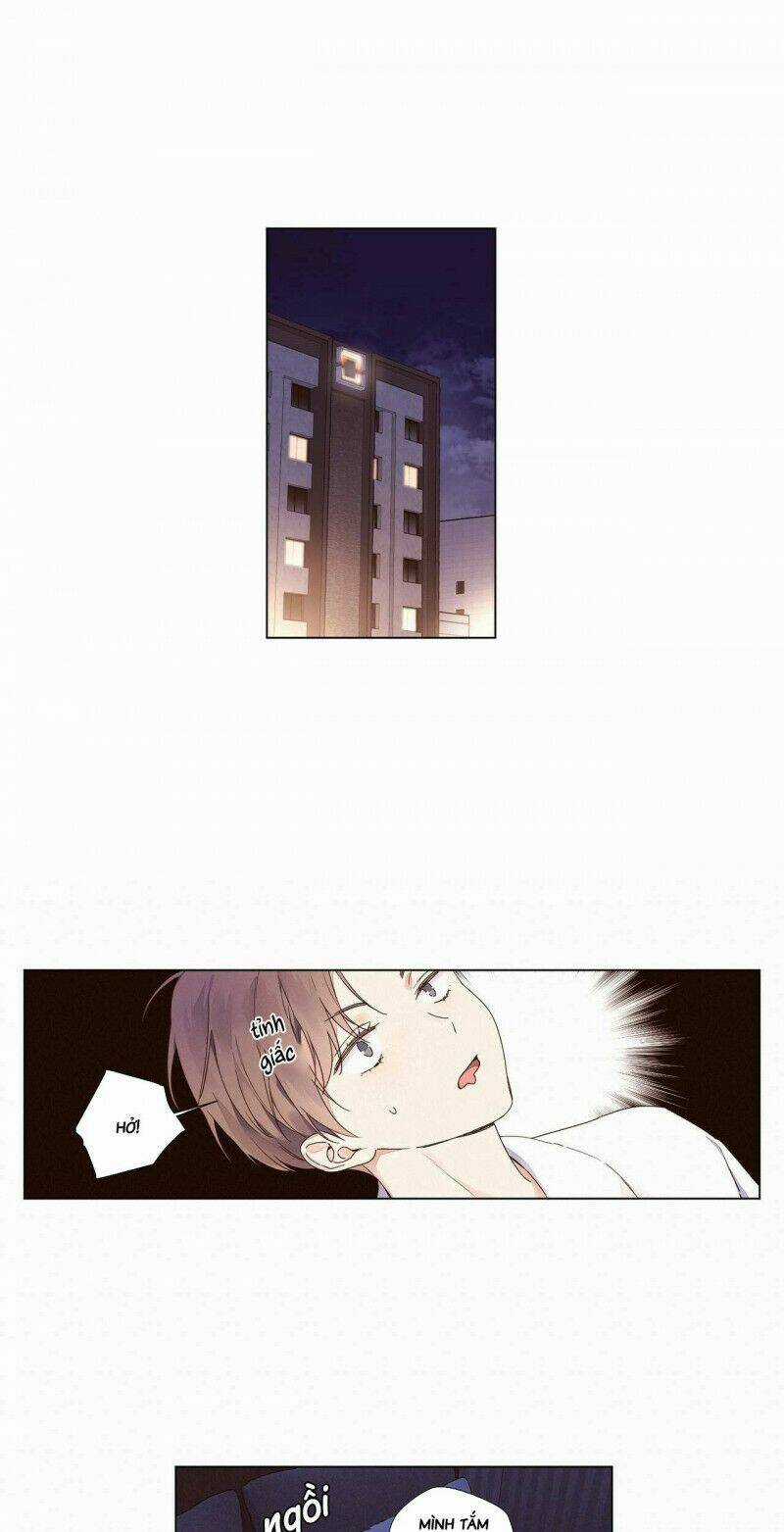 Tình Nhân 4 Tuần Chapter 36 trang 5