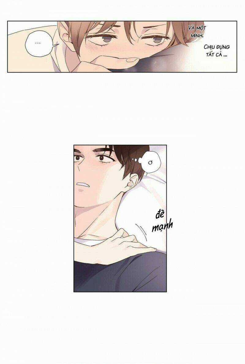 Tình Nhân 4 Tuần Chapter 37 trang 8