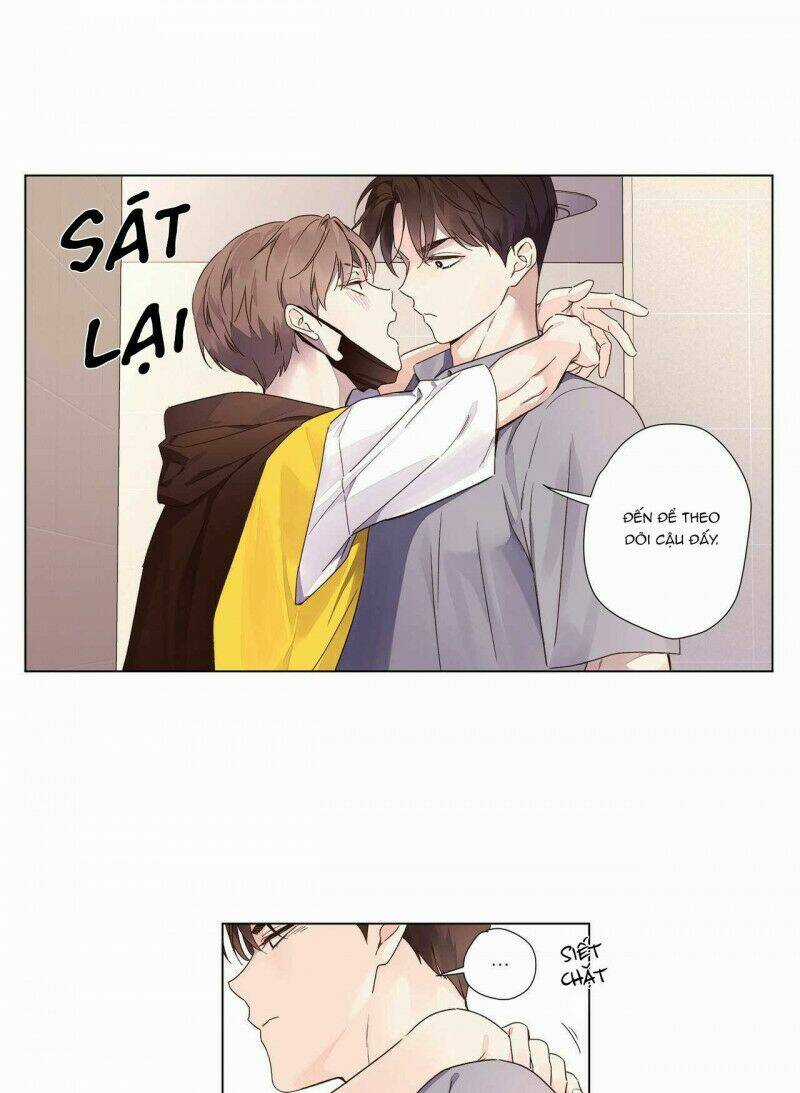 Tình Nhân 4 Tuần Chapter 40 trang 19