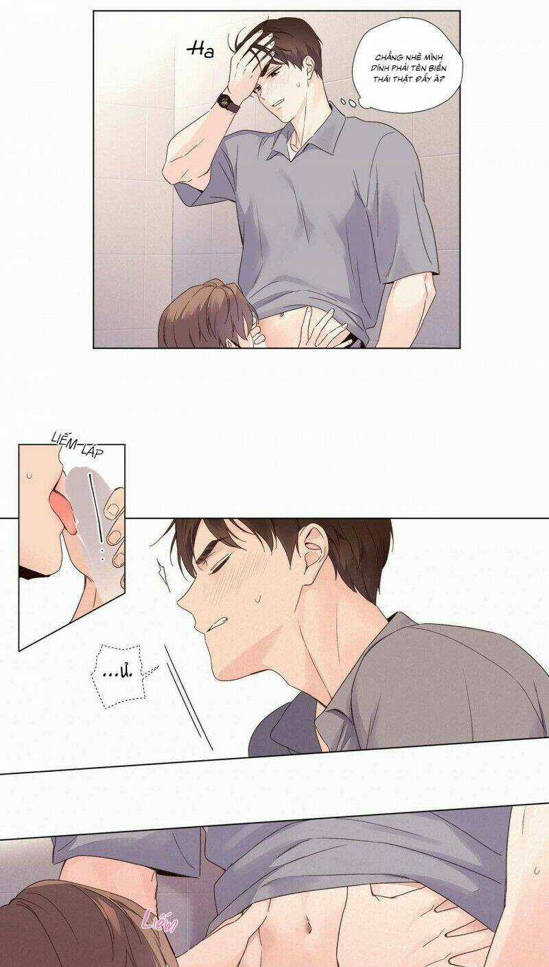 Tình Nhân 4 Tuần Chapter 41 trang 15