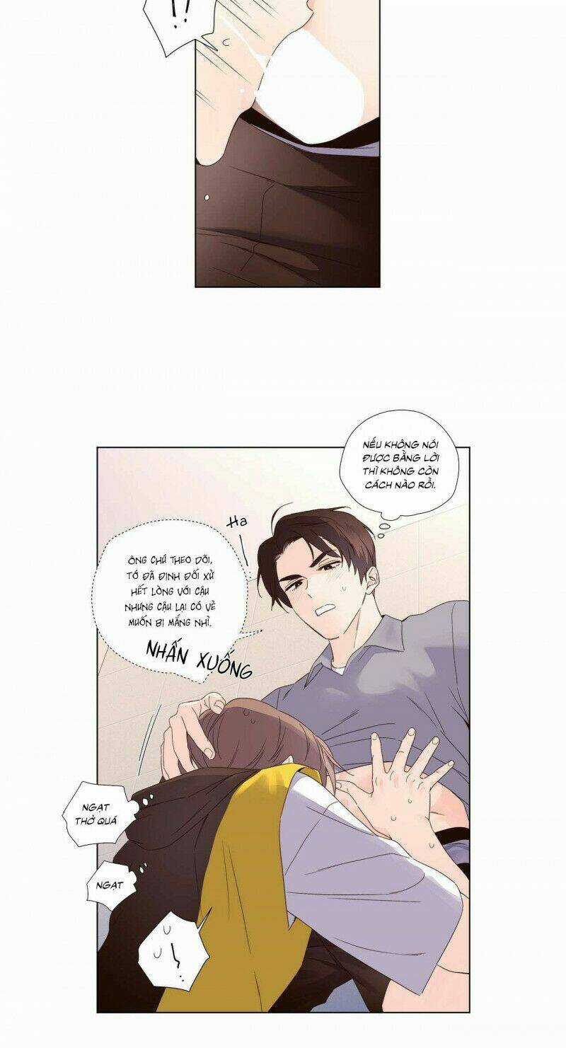 Tình Nhân 4 Tuần Chapter 41 trang 17