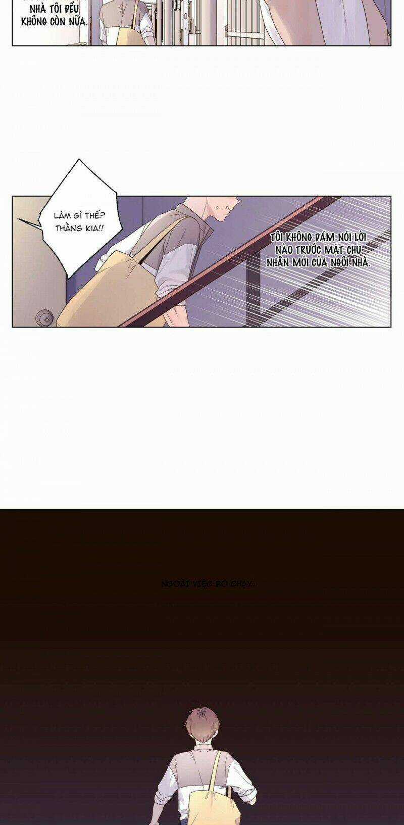 Tình Nhân 4 Tuần Chapter 43 trang 3