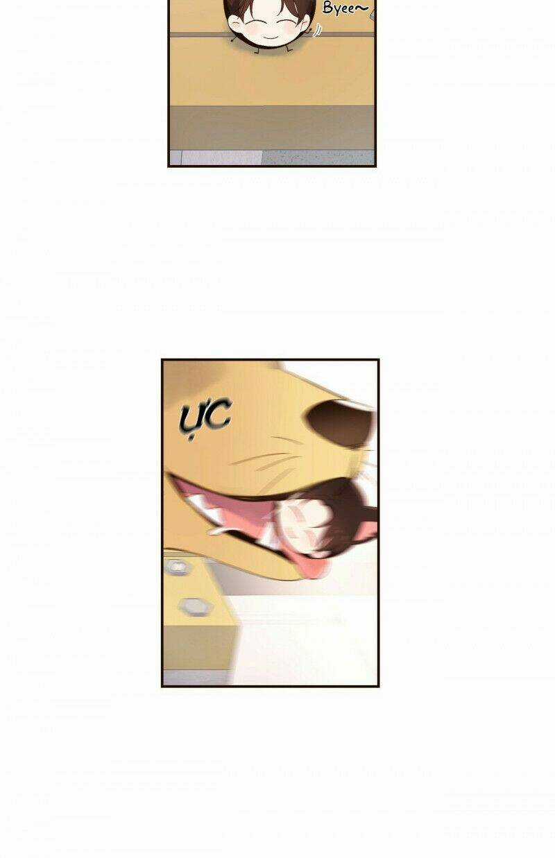 Tình Nhân 4 Tuần Chapter 47.5 trang 33