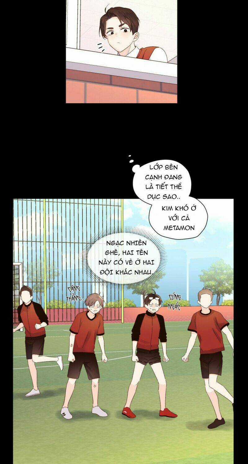 Tình Nhân 4 Tuần Chapter 49 trang 4