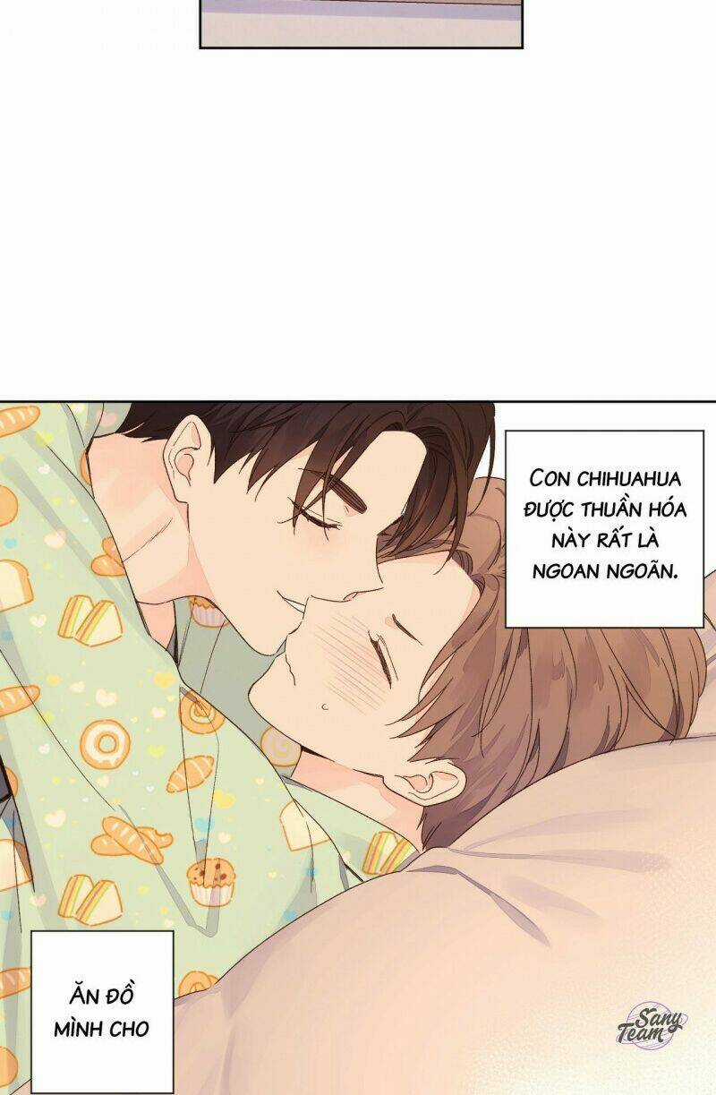Tình Nhân 4 Tuần Chapter 51 trang 18