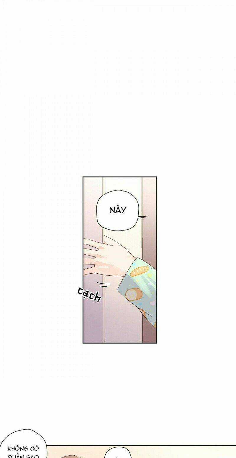 Tình Nhân 4 Tuần Chapter 51 trang 2