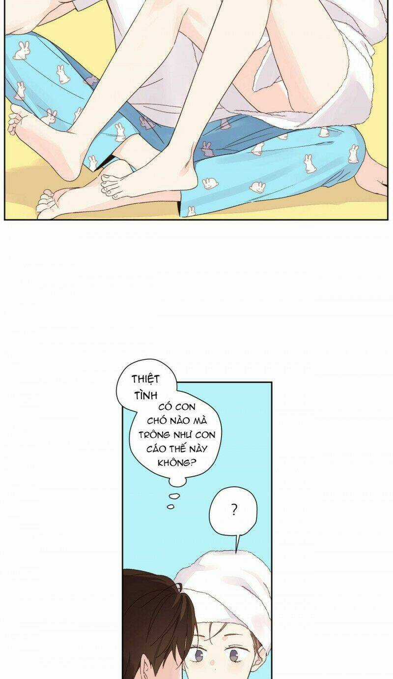 Tình Nhân 4 Tuần Chapter 51 trang 21