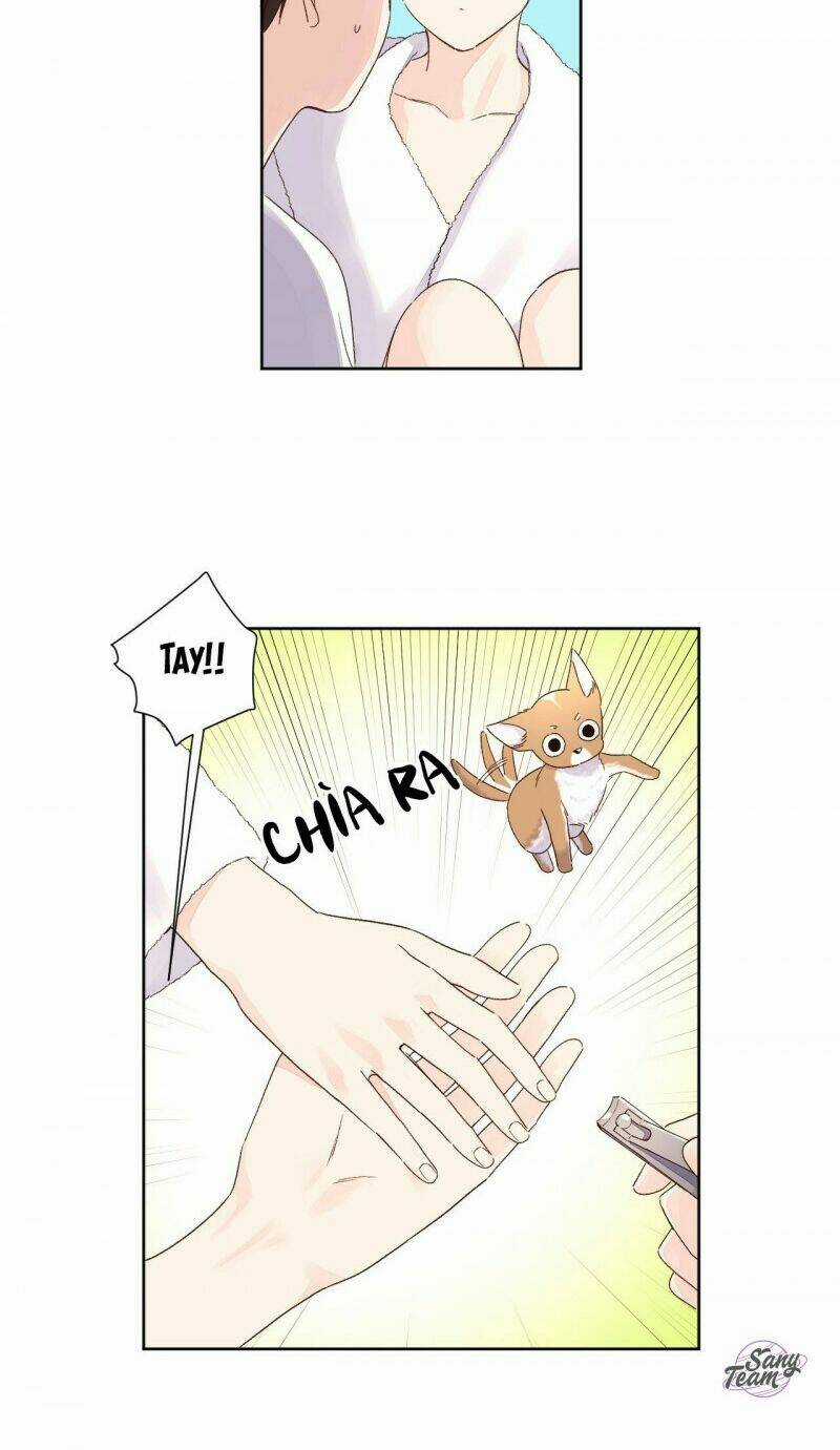 Tình Nhân 4 Tuần Chapter 51 trang 22