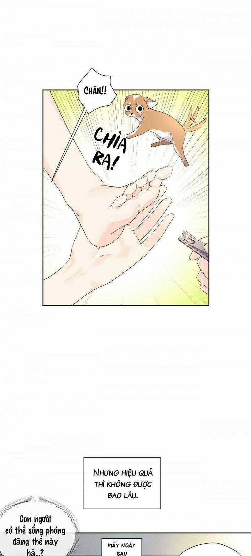 Tình Nhân 4 Tuần Chapter 51 trang 23