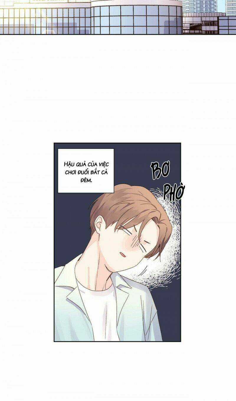 Tình Nhân 4 Tuần Chapter 52 trang 14