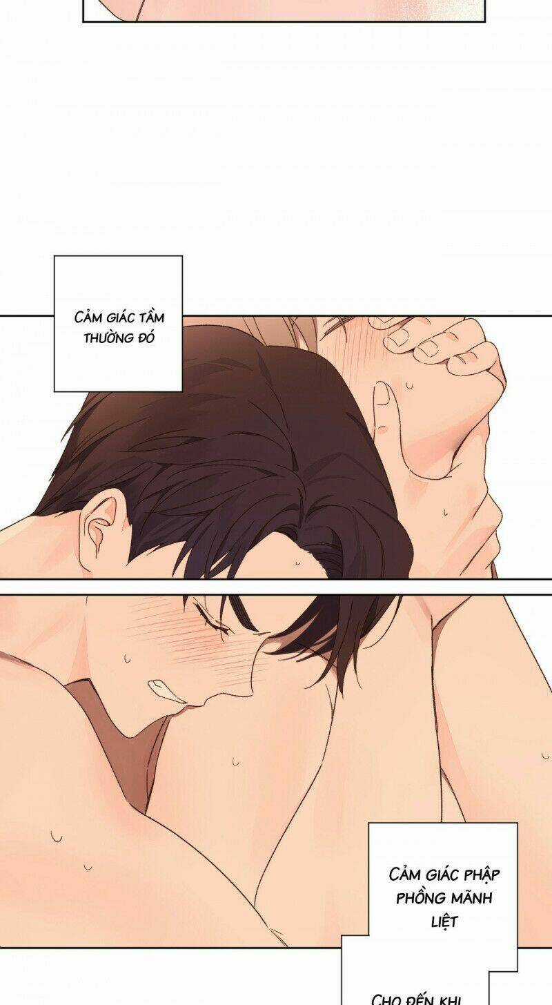 Tình Nhân 4 Tuần Chapter 54 trang 28