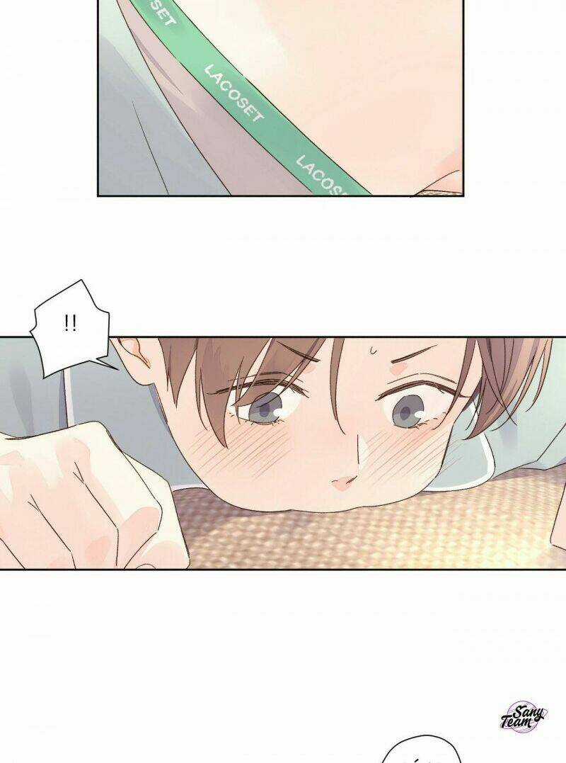 Tình Nhân 4 Tuần Chapter 56 trang 4