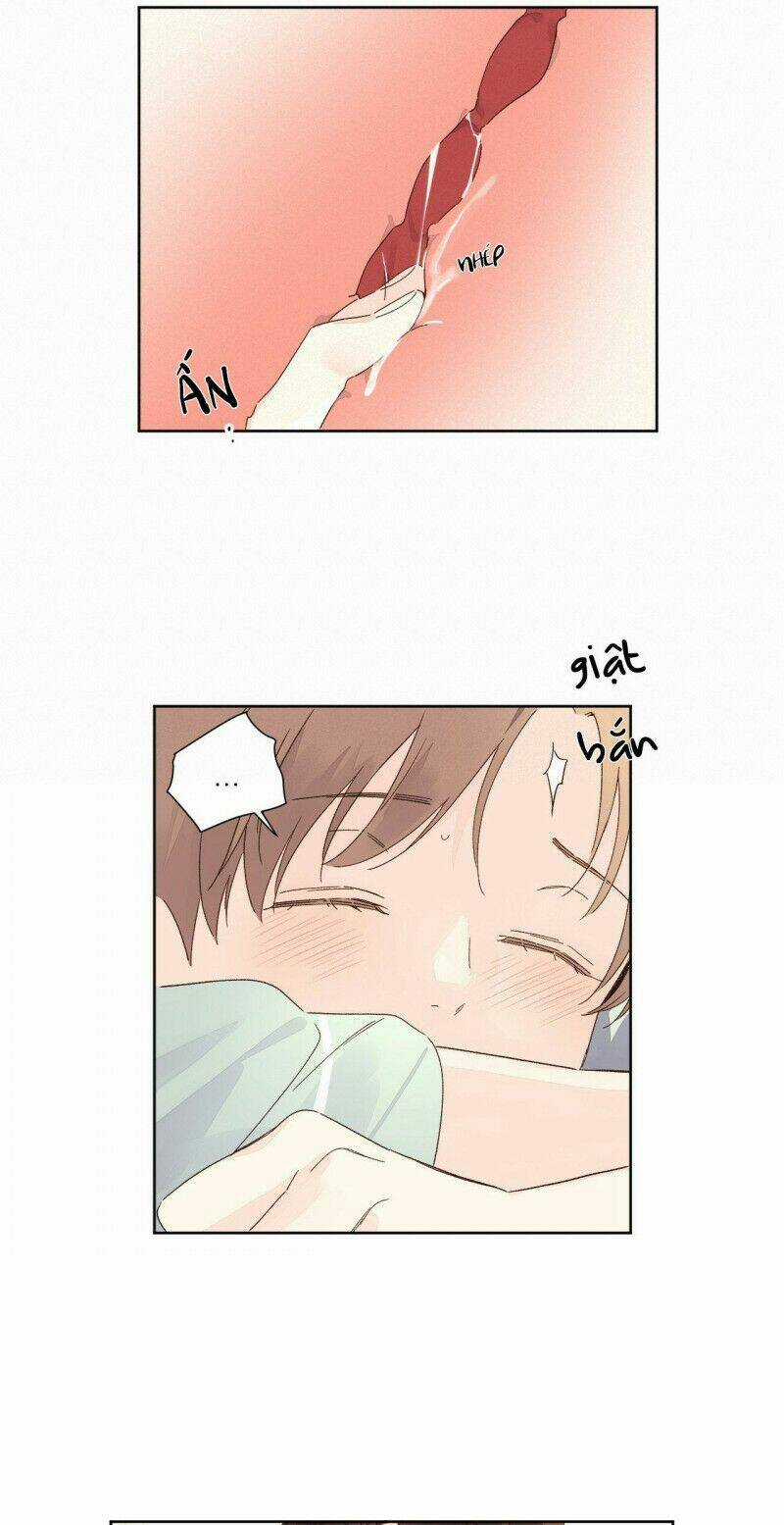 Tình Nhân 4 Tuần Chapter 56 trang 7