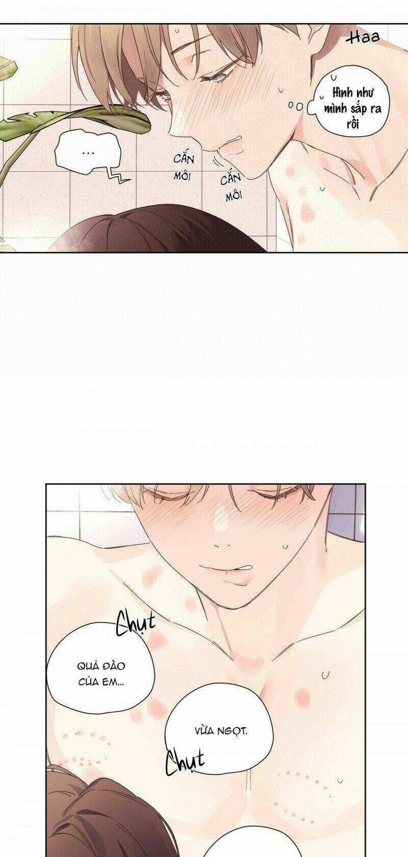 Tình Nhân 4 Tuần Chapter 57 trang 7