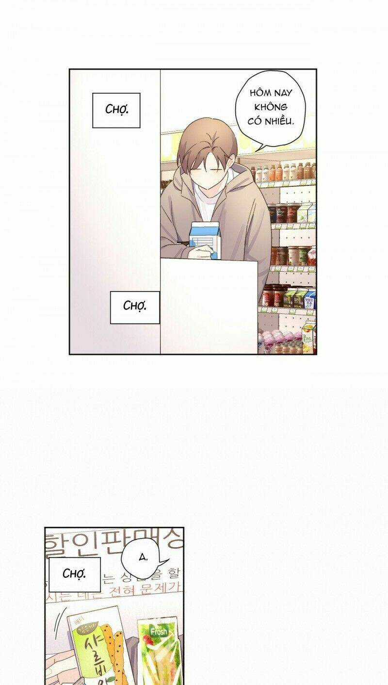 Tình Nhân 4 Tuần Chapter 58 trang 14