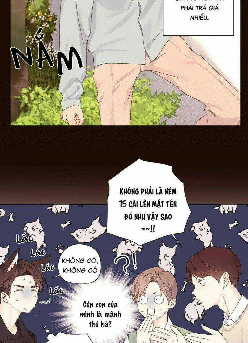 Tình Nhân 4 Tuần Chapter 60 trang 12