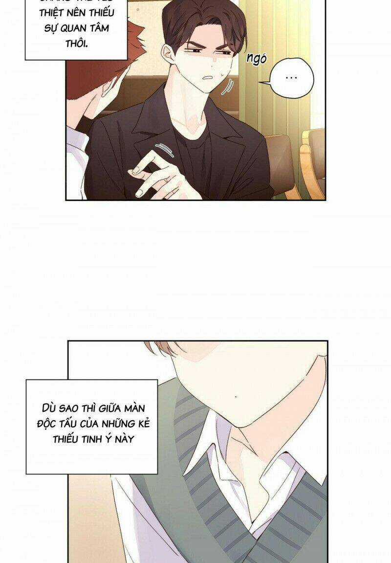 Tình Nhân 4 Tuần Chapter 60 trang 15