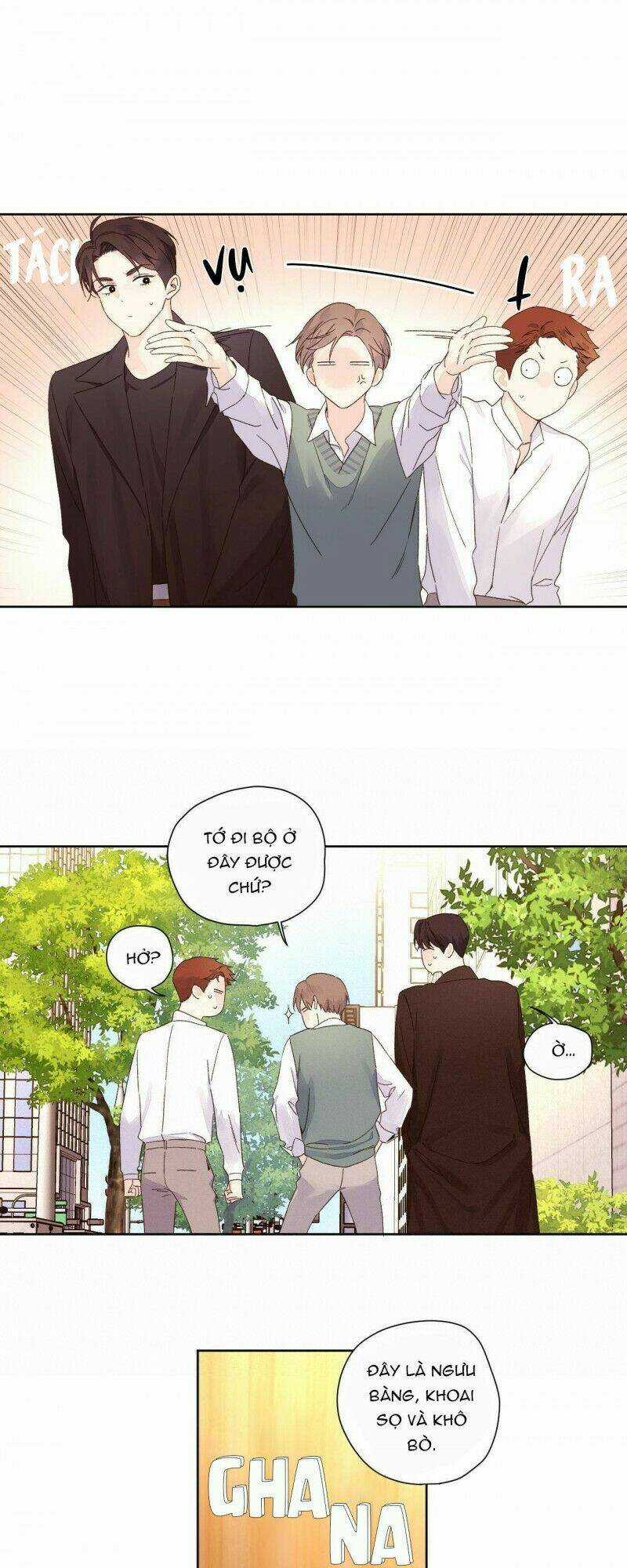 Tình Nhân 4 Tuần Chapter 60 trang 26