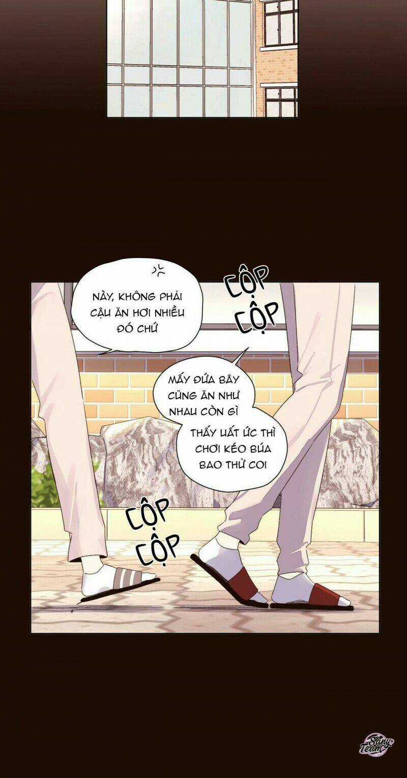 Tình Nhân 4 Tuần Chapter 60 trang 7