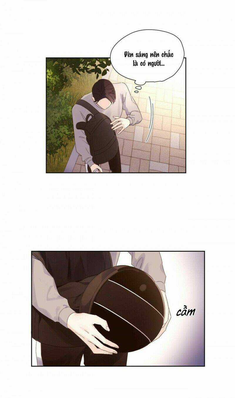 Tình Nhân 4 Tuần Chapter 64 trang 12