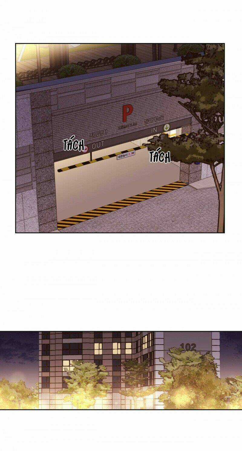 Tình Nhân 4 Tuần Chapter 64 trang 32