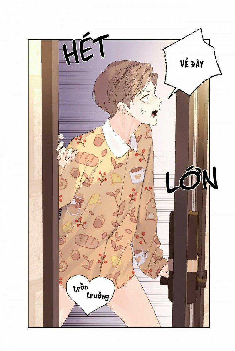 Tình Nhân 4 Tuần Chapter 64 trang 4