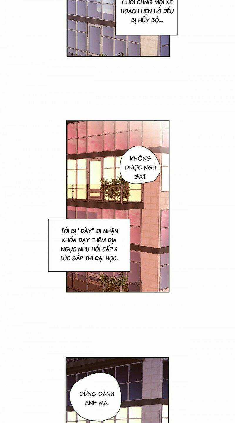 Tình Nhân 4 Tuần Chapter 65 trang 14