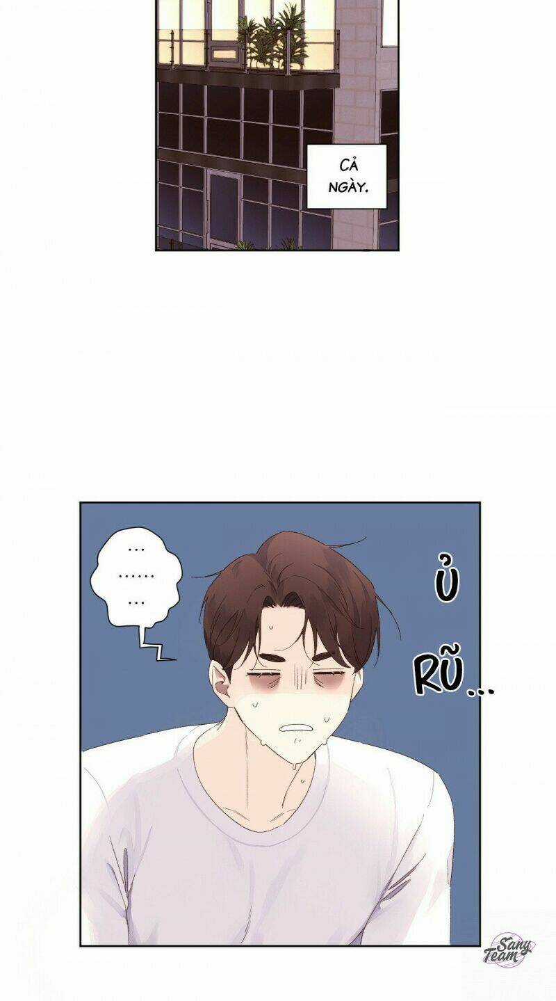 Tình Nhân 4 Tuần Chapter 65 trang 15