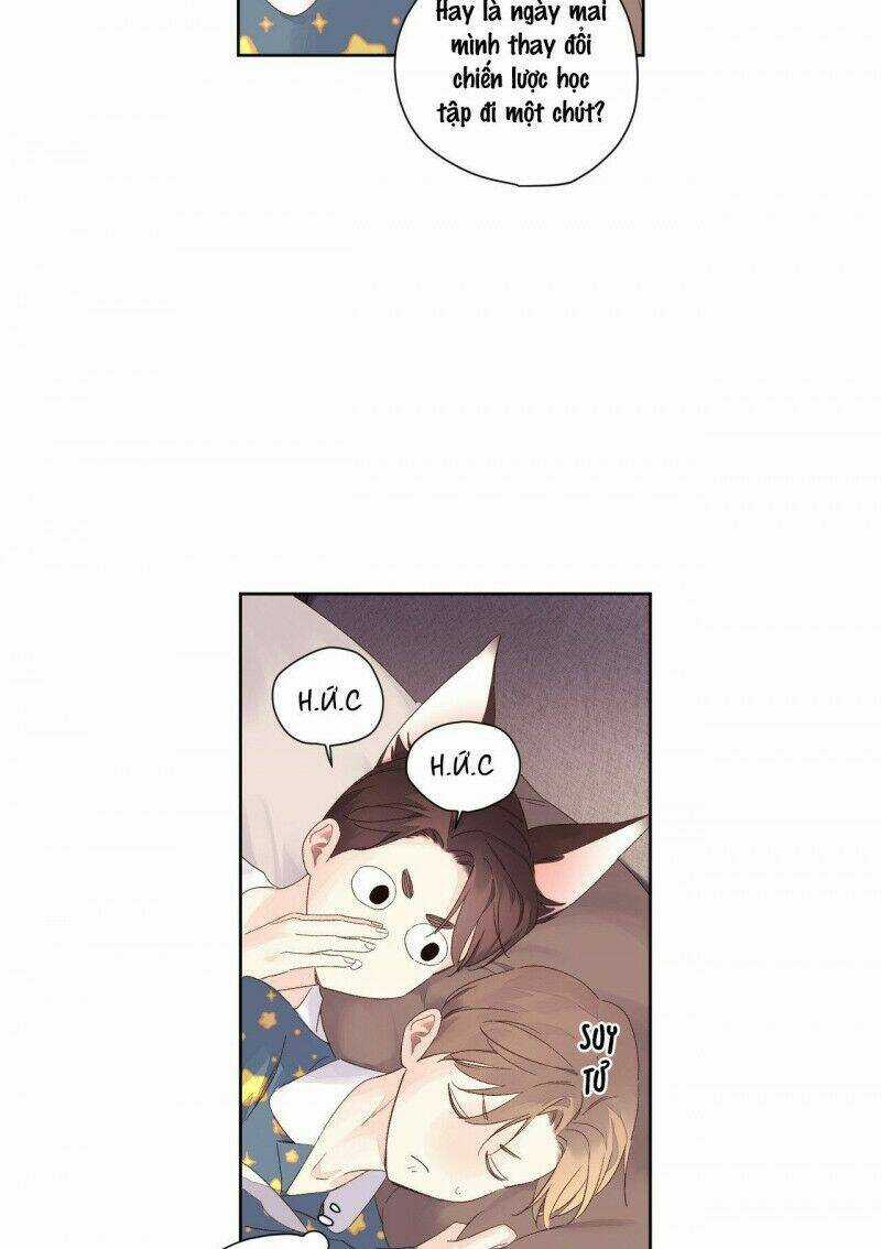 Tình Nhân 4 Tuần Chapter 65 trang 20