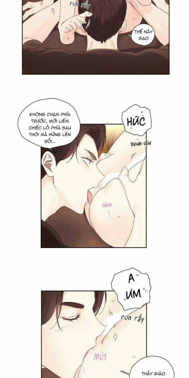 Tình Nhân 4 Tuần Chapter 66 trang 15