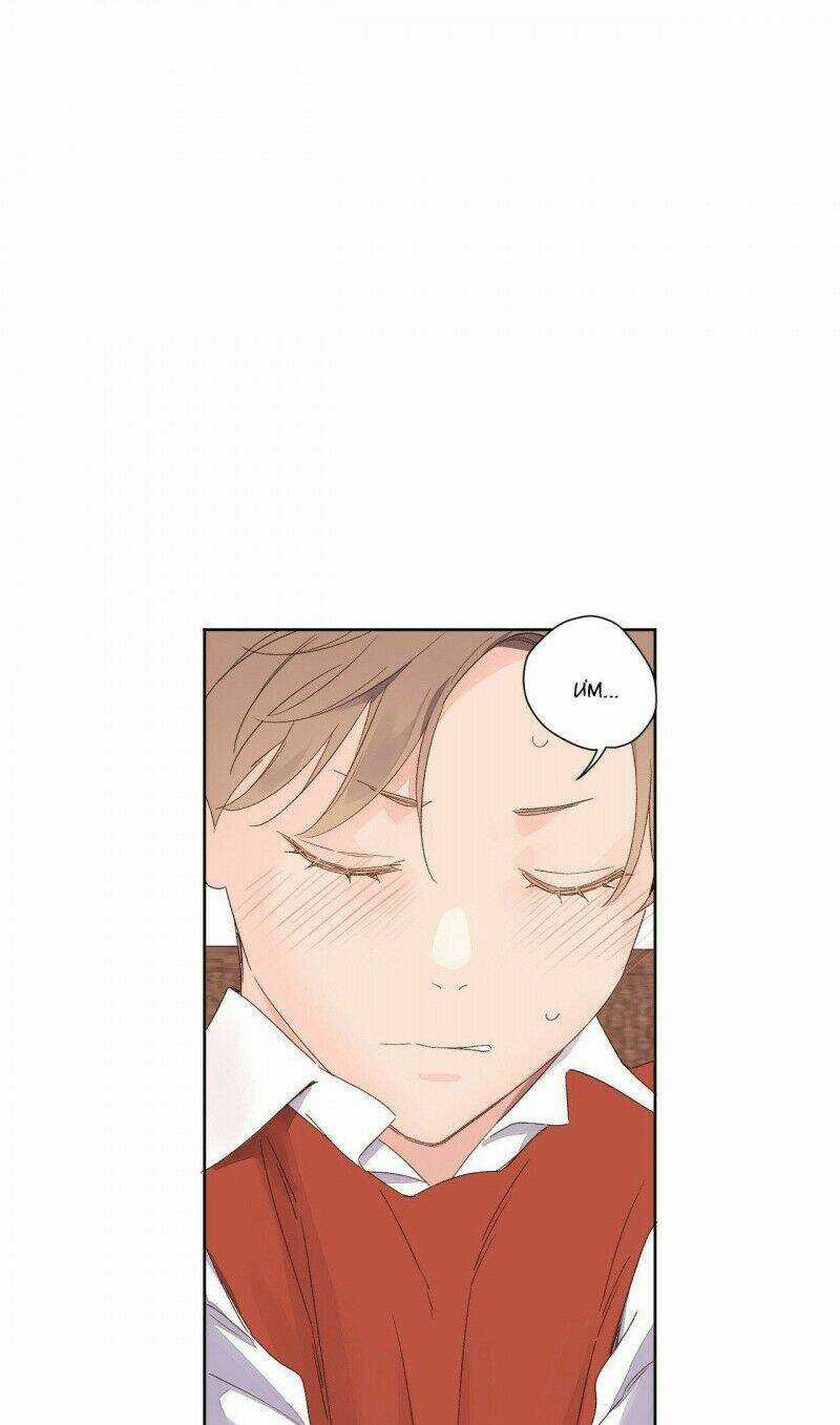 Tình Nhân 4 Tuần Chapter 66 trang 19