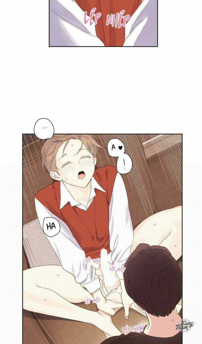 Tình Nhân 4 Tuần Chapter 66 trang 20