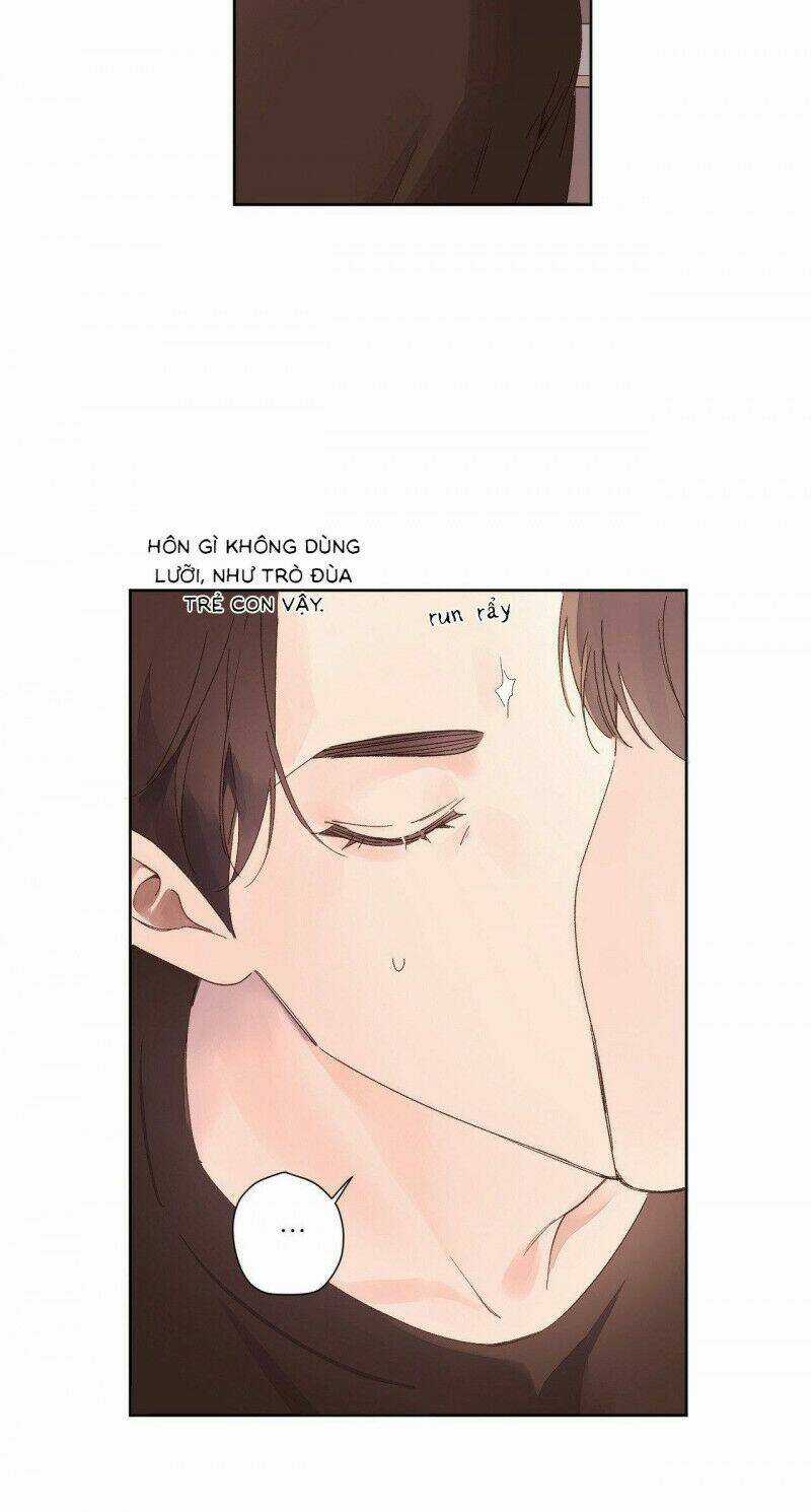 Tình Nhân 4 Tuần Chapter 66 trang 5