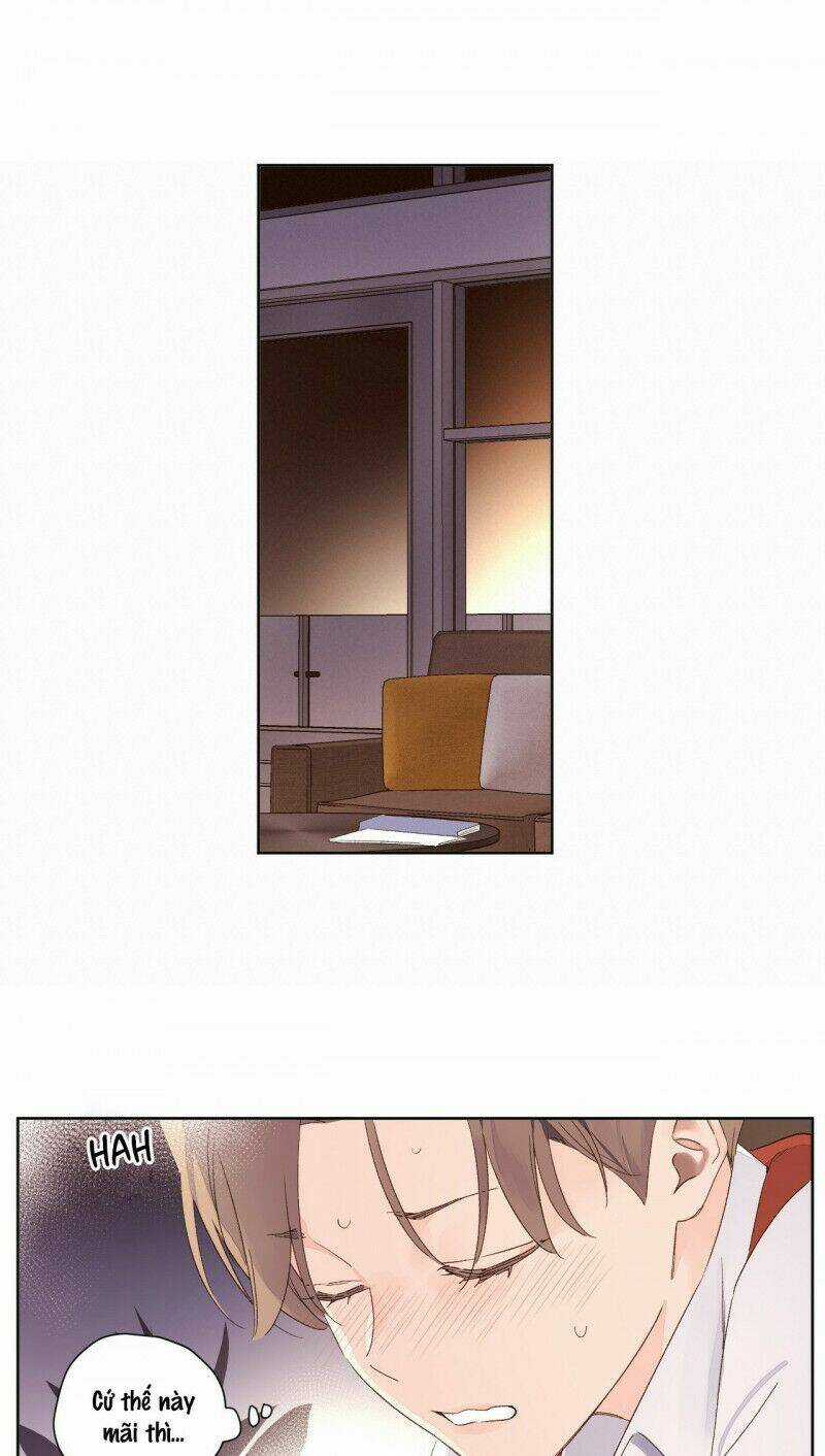 Tình Nhân 4 Tuần Chapter 67 trang 14