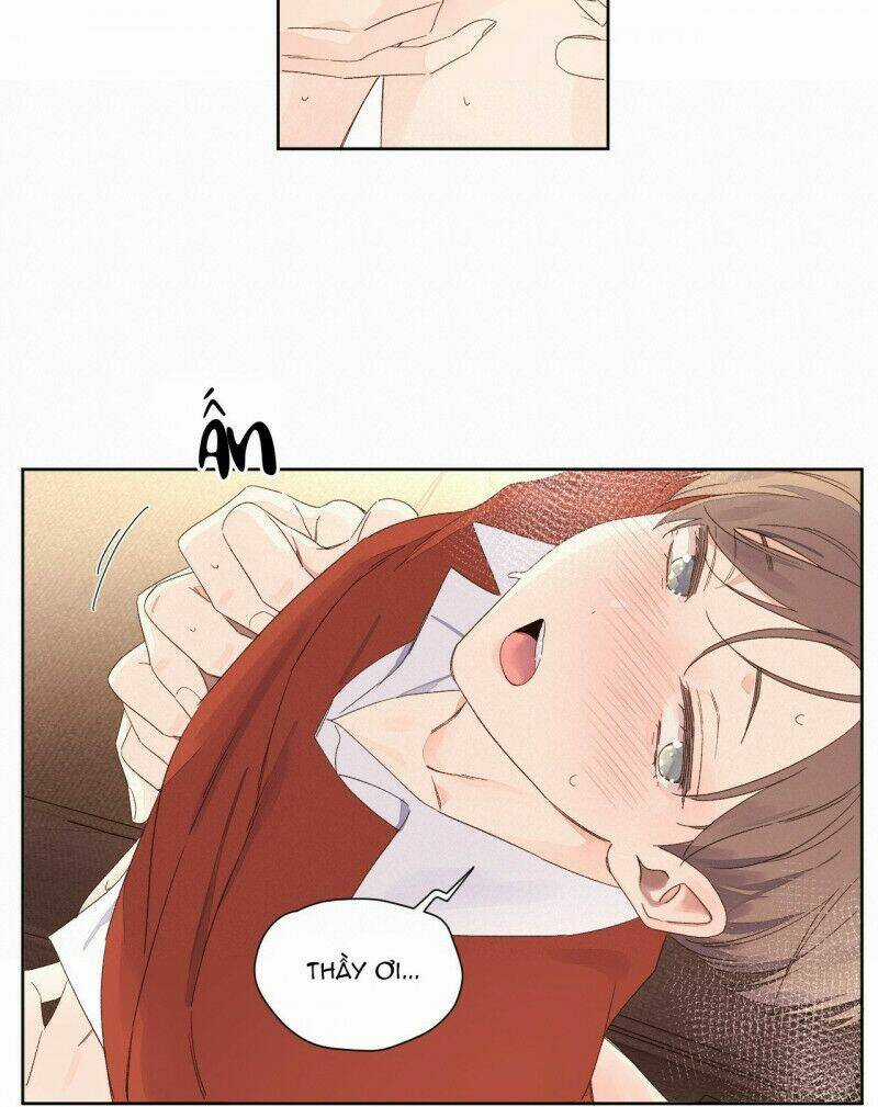 Tình Nhân 4 Tuần Chapter 67 trang 21