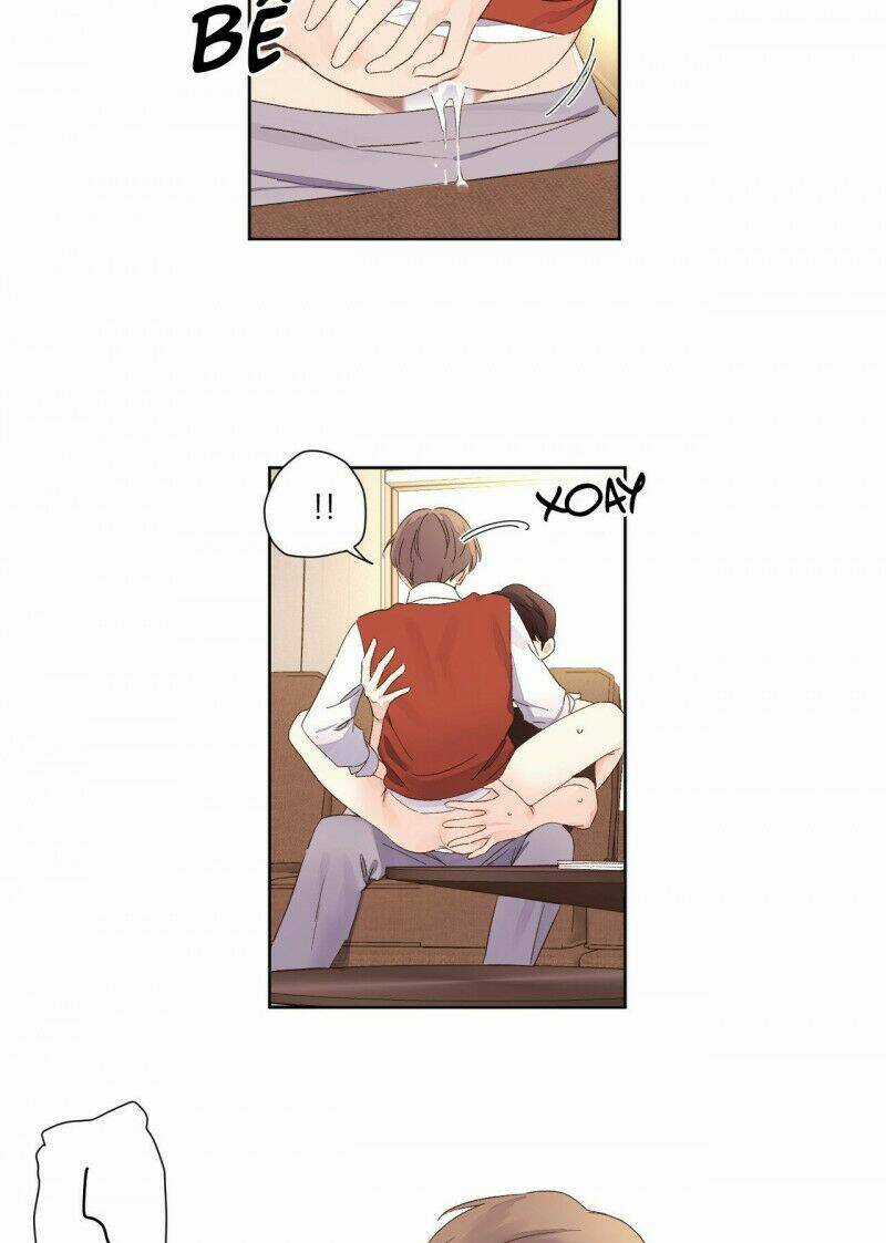 Tình Nhân 4 Tuần Chapter 67 trang 4