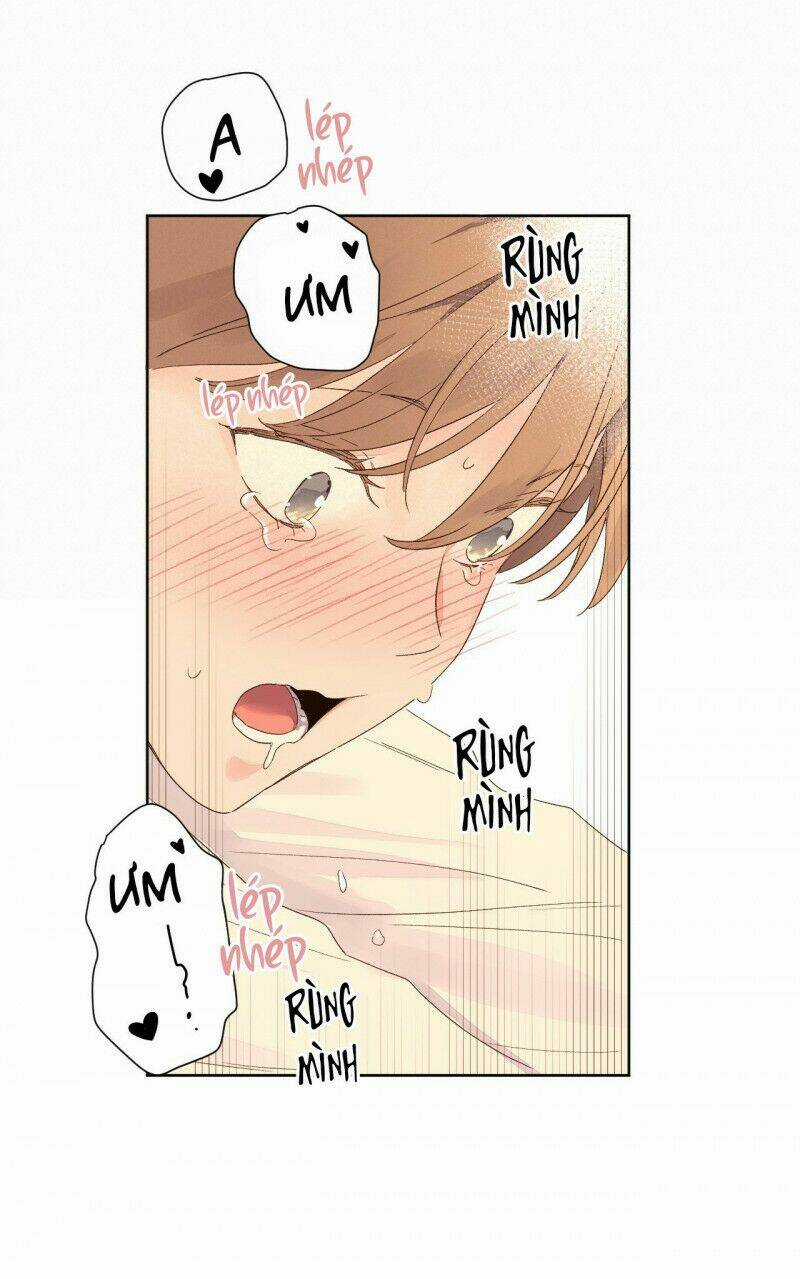 Tình Nhân 4 Tuần Chapter 67 trang 7