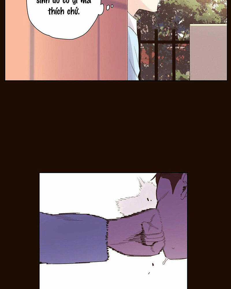 Tình Nhân 4 Tuần Chapter 70 trang 11