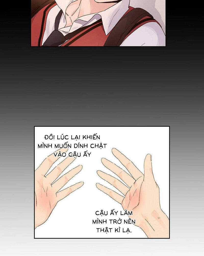 Tình Nhân 4 Tuần Chapter 71 trang 34