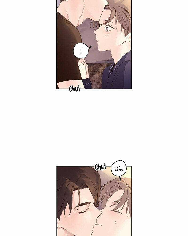 Tình Nhân 4 Tuần Chapter 71 trang 38