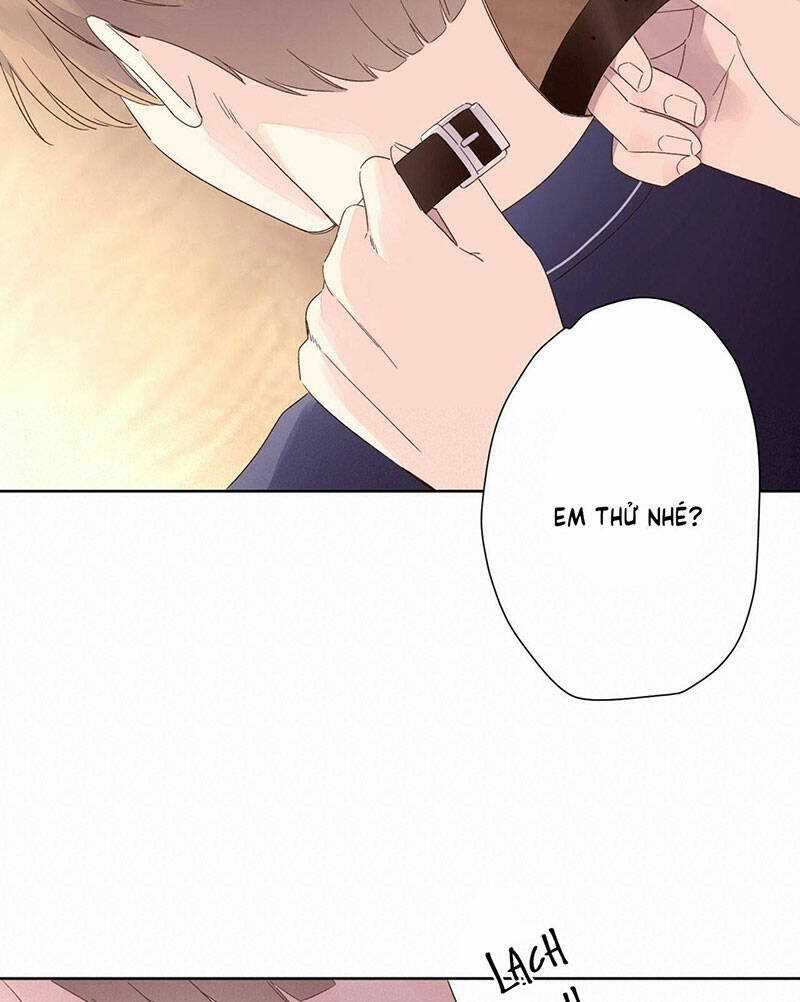 Tình Nhân 4 Tuần Chapter 71 trang 43